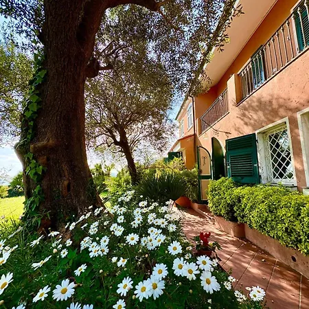 Mare Con Piscina 别墅 *