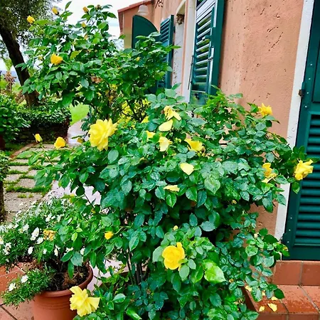 Mare Con Piscina Villa Vesima