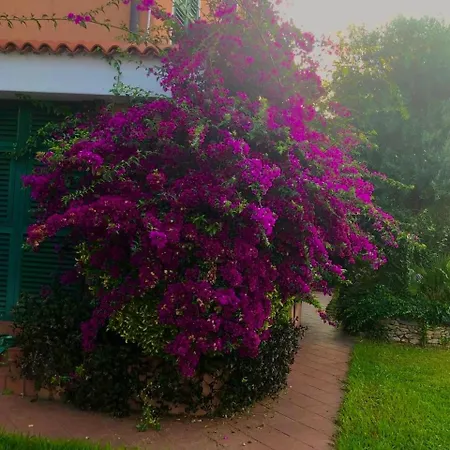 Mare Con Piscina Vesima