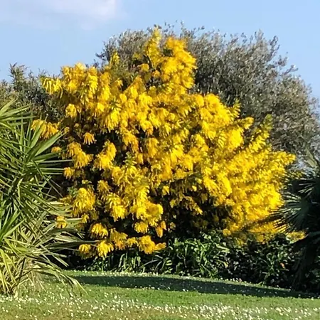 Mare Con Piscina Vesima