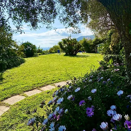 Villa Mare Con Piscina *