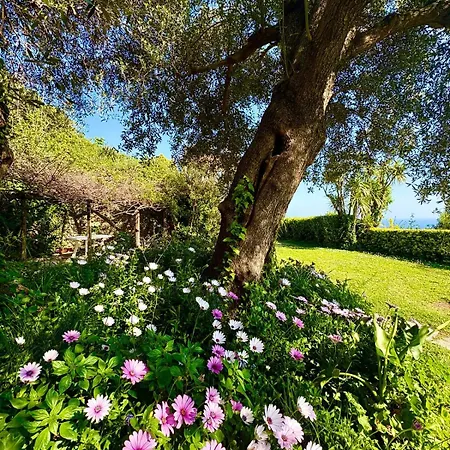 Villa Mare Con Piscina