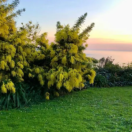 Mare Con Piscina Villa *