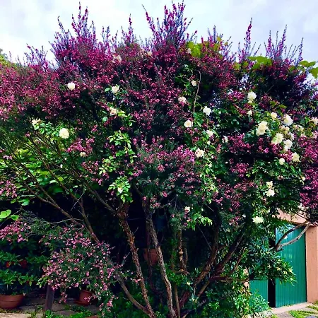 Villa Mare Con Piscina Vesima