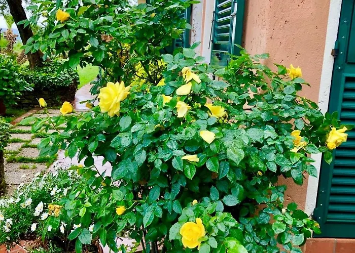 Mare Con Piscina Villa Vesima