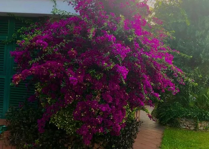 Mare Con Piscina Vesima