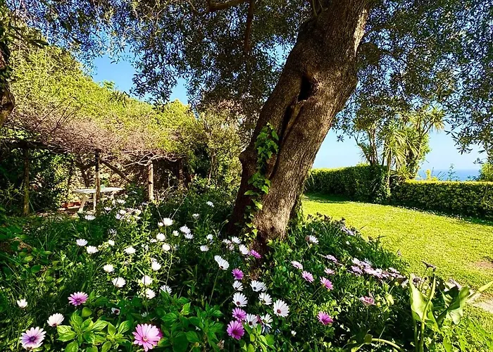 Villa Mare Con Piscina