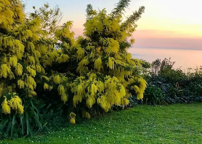 Mare Con Piscina Villa *